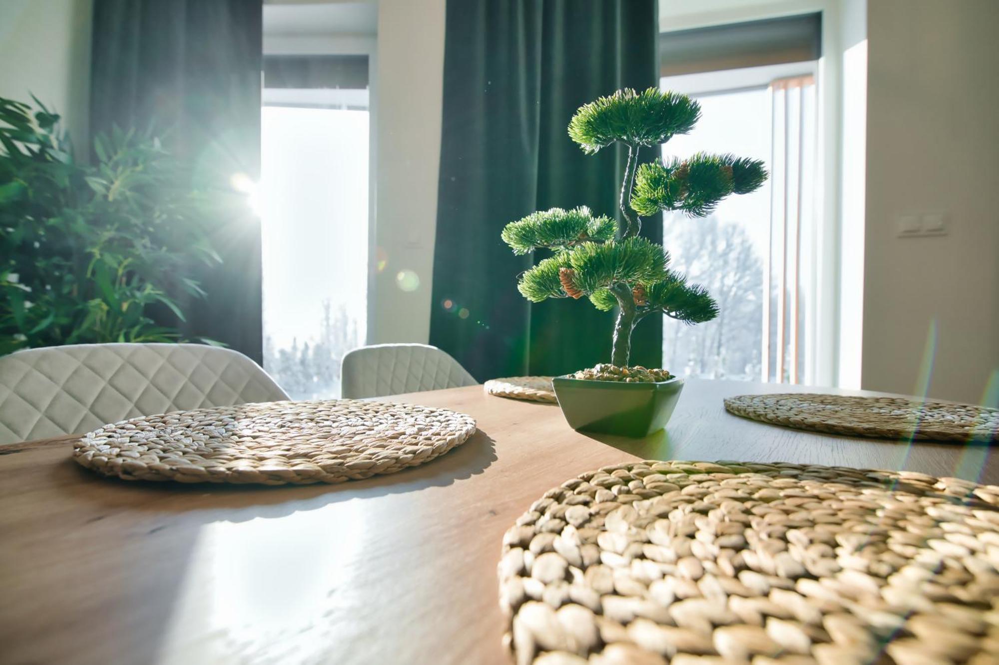 Apartamenty Laguna Beskidow - A2 Zarzecze  Екстер'єр фото